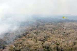 Copyright AFP GEOFFROY VAN DER HASSELT