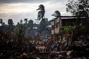 Copyright World Health Organization/AFP/Archiv Christopher Black