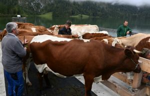 Copyright POOL/AFP Olivier HOSLET