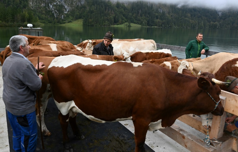 Copyright POOL/AFP Olivier HOSLET