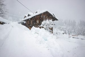 Copyright AFP/Archiv Tobias Schwarz