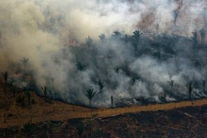 Copyright AFP/Archiv MICHAEL STEPHENS