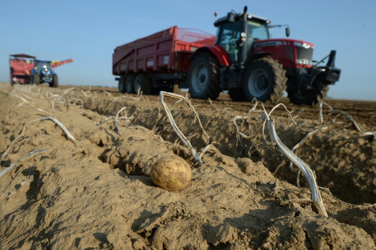 Copyright AFP GABRIEL BOUYS