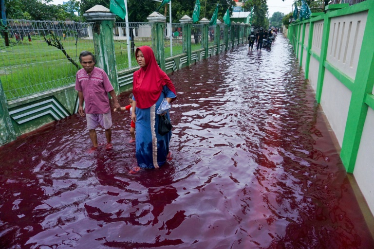 Copyright AFP/Archiv Christof STACHE