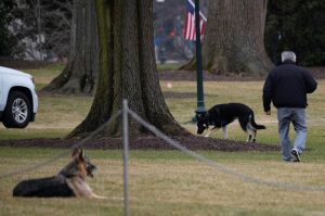 Copyright AFP/Archiv JIM WATSON