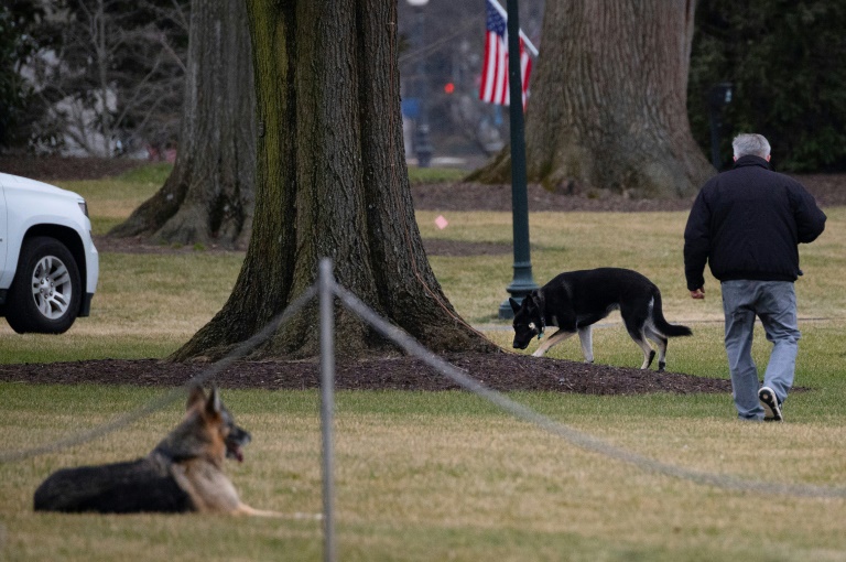 Copyright AFP/Archiv JIM WATSON