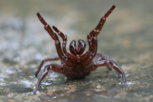 Copyright THE AUSTRALIAN REPTILE PARK/AFP -