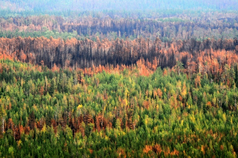 Copyright AFP/Archiv Ekaterina ANISIMOVA