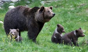 Copyright ARAN PARK/AFP/Archiv HO