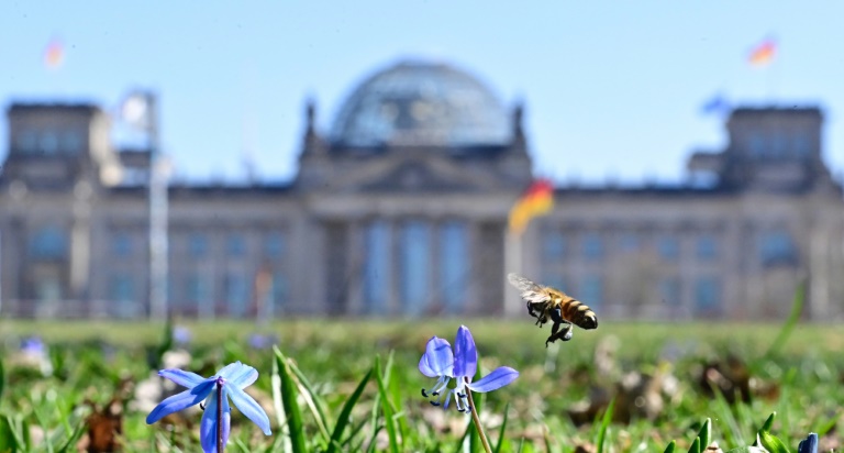 Copyright AFP Tobias Schwarz