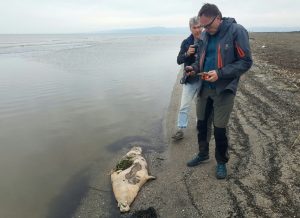 Copyright Marine Mammal Research and Expedition Center/AFP -