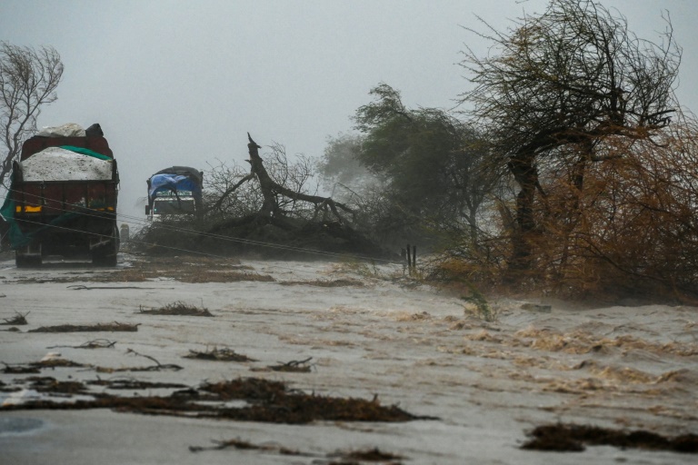 Copyright AFP/Archiv ARMANDO BABANI