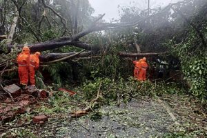 Copyright AFP Francois PICARD