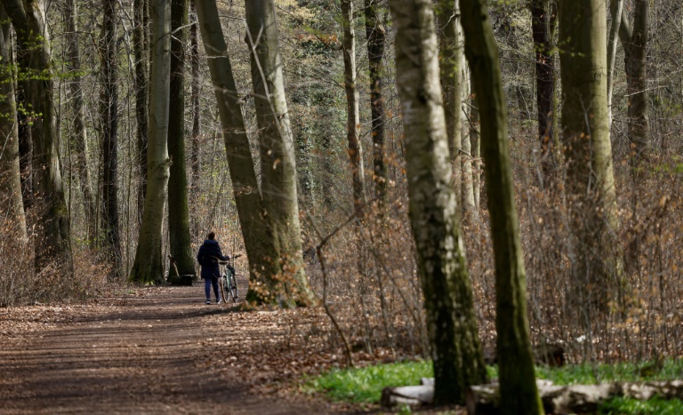 Copyright AFP/Archiv Ronny Hartmann