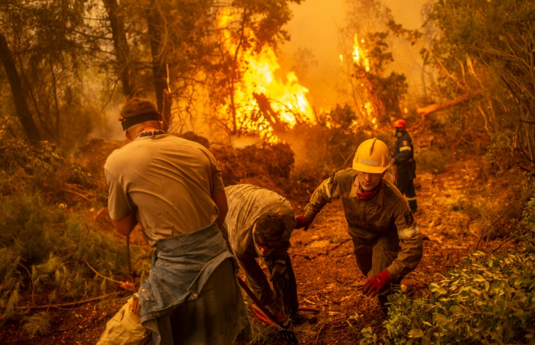 Copyright AFP ANGELOS TZORTZINIS