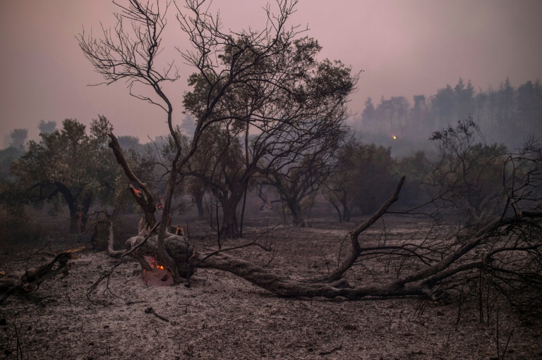 Copyright AFP ANGELOS TZORTZINIS