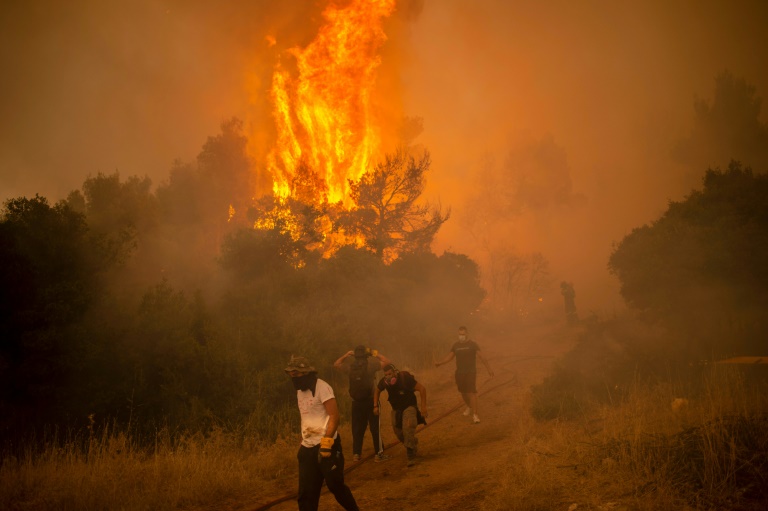 Copyright AFP/Archiv Tobias SCHWARZ