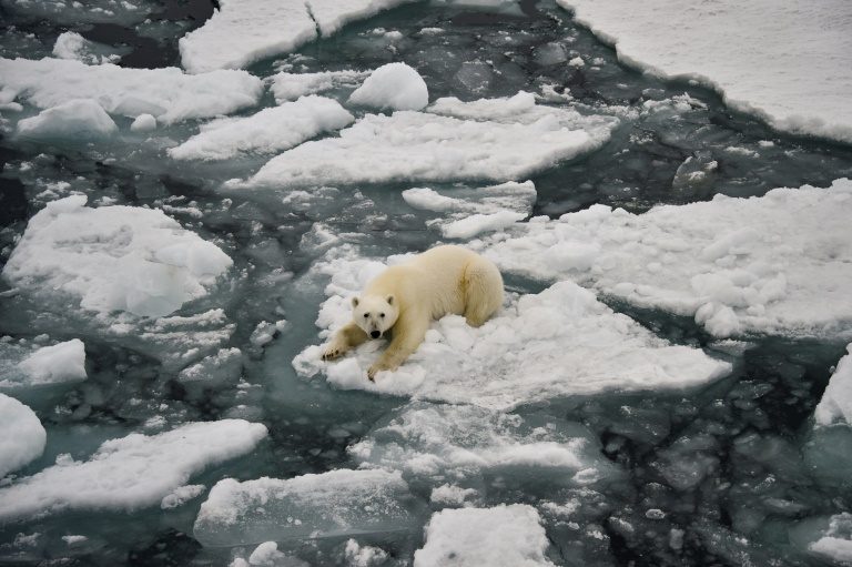 Copyright AFP/Archiv Ekaterina ANISIMOVA