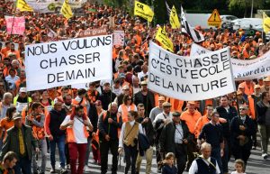 Copyright AFP Fred TANNEAU