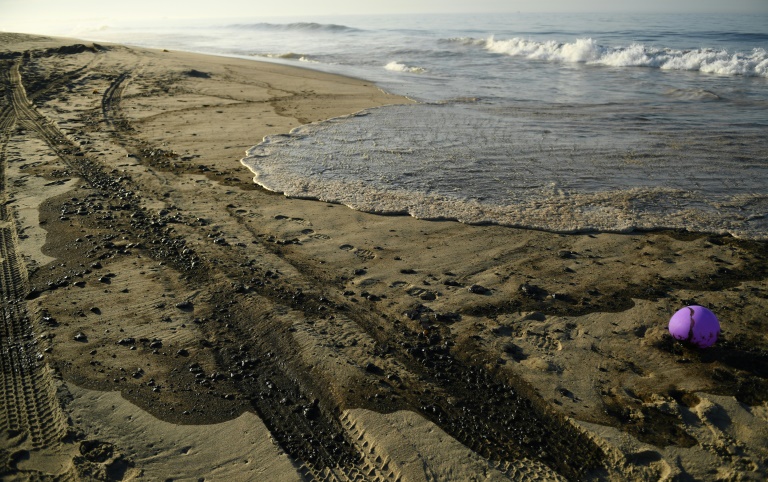 Copyright AFP/Archiv FREDERICK FLORIN