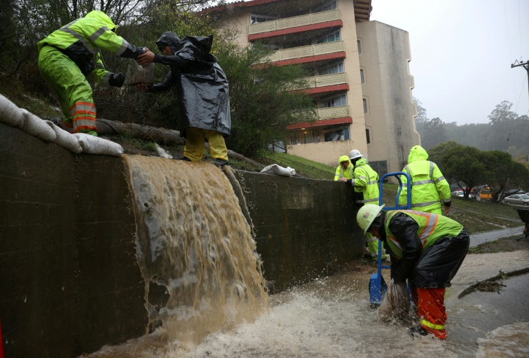 Copyright AFP/Archiv THOMAS KIENZLE