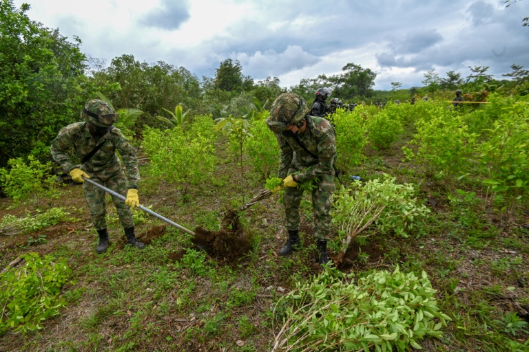 Copyright AFP Brendan Smialowski