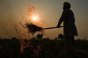 Copyright AFP NARINDER NANU