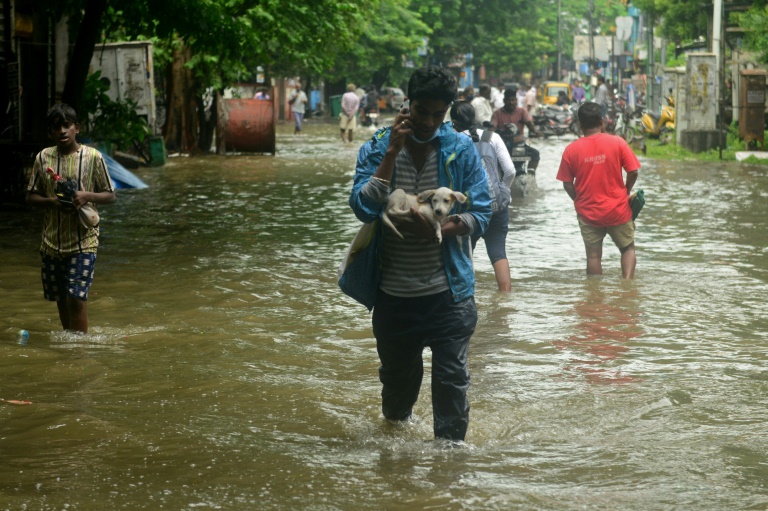 Copyright AFP Arun SANKAR