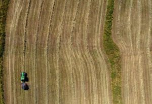 Copyright AFP/Archiv Christof STACHE