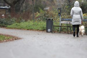 Tatort im Kleinen Tiergarten