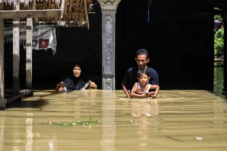 Copyright AFP/Archiv Justin TALLIS