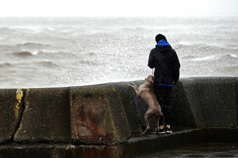 Copyright AFP/Archiv David GANNON