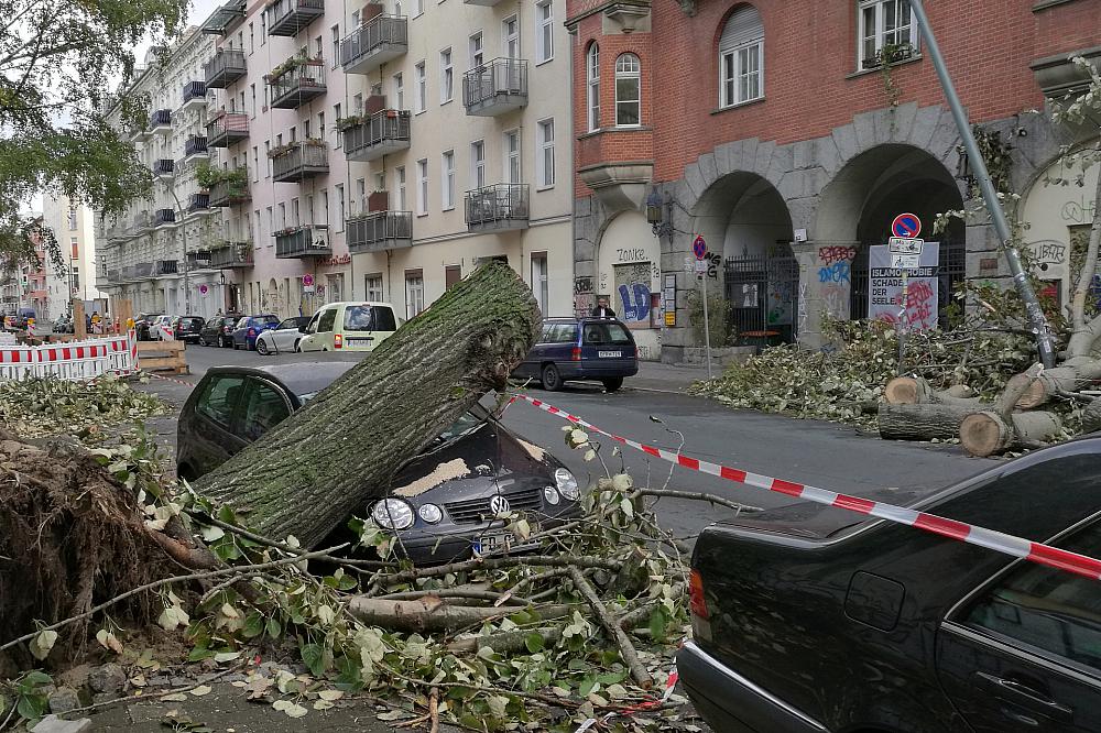 Schäden nach Sturmtief