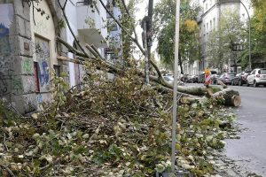 Schäden nach Sturm