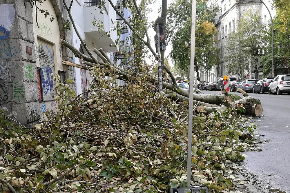 Schäden nach Sturm