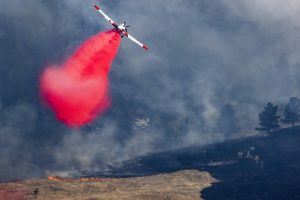 Copyright GETTY IMAGES NORTH AMERICA/AFP Michael Ciaglo