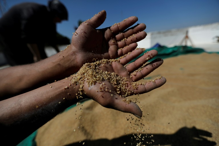 Copyright AFP/Archiv JOSEPH EID