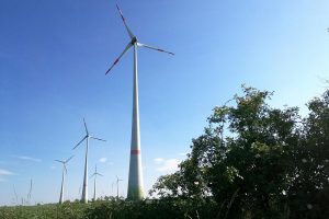 Windräder bei Tantow in Brandenburg