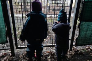 Kinder hinter einem Gitter