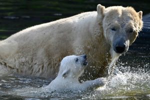 Copyright AFP/Archiv SEBASTIEN BOZON