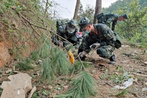 Copyright AFP John Macdougall