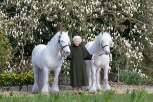 Copyright ROYAL WINDSOR HORSE SHOW/AFP Henry DALLAL