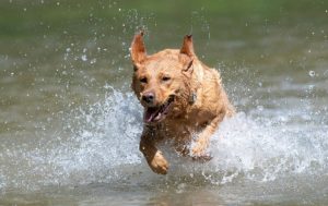 Copyright AFP/Archiv THOMAS KIENZLE