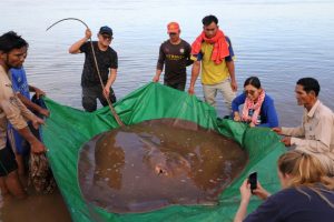 Copyright Wonders of the Mekong/AFP Chhut Chheana