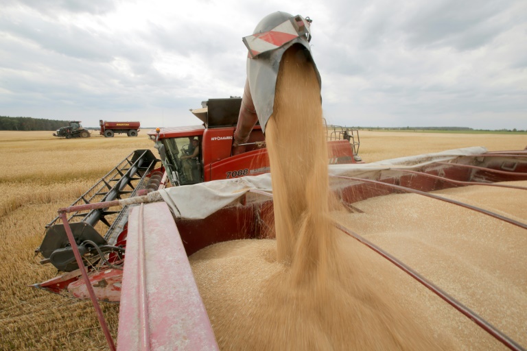 Copyright FAO/AFP/Archiv Anatolii STEPANOV