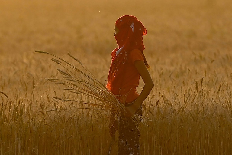 Copyright AFP/Archiv Money SHARMA