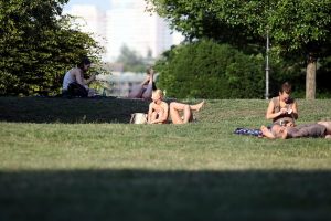 Sonnenbaden auf einer Wiese