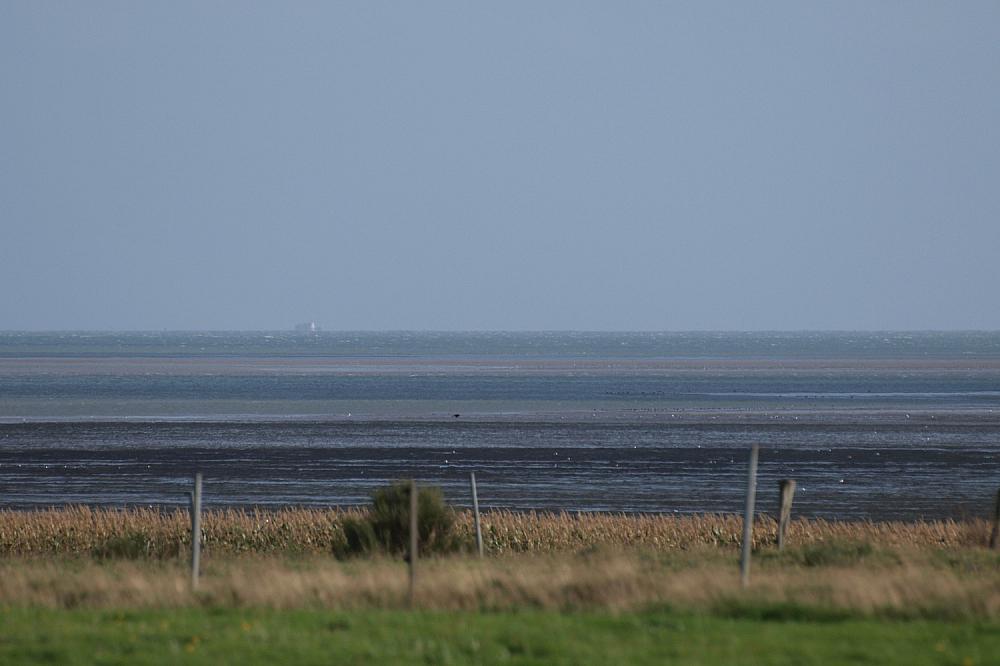 Das Wattenmeer an der Nordsee