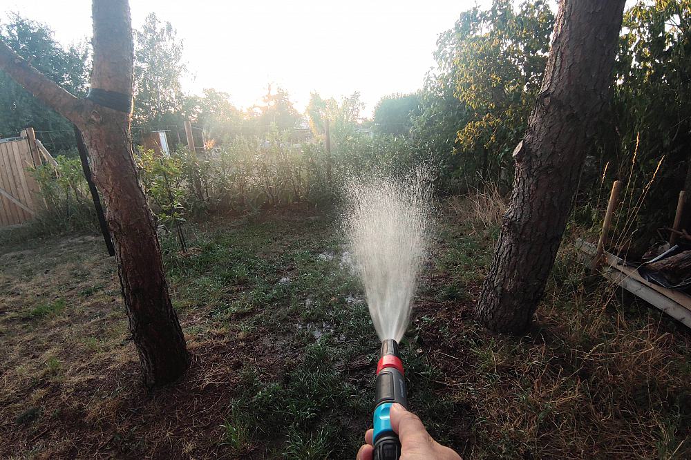 Rasen wird mit Wasser besprengt (Archiv)