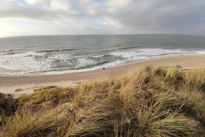 Dünen am Strand